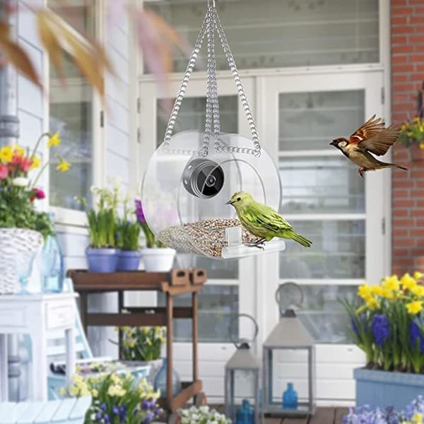 Vinduesfuglefoder, Transparent Akryl Fuglebur, Fuglefoder, W