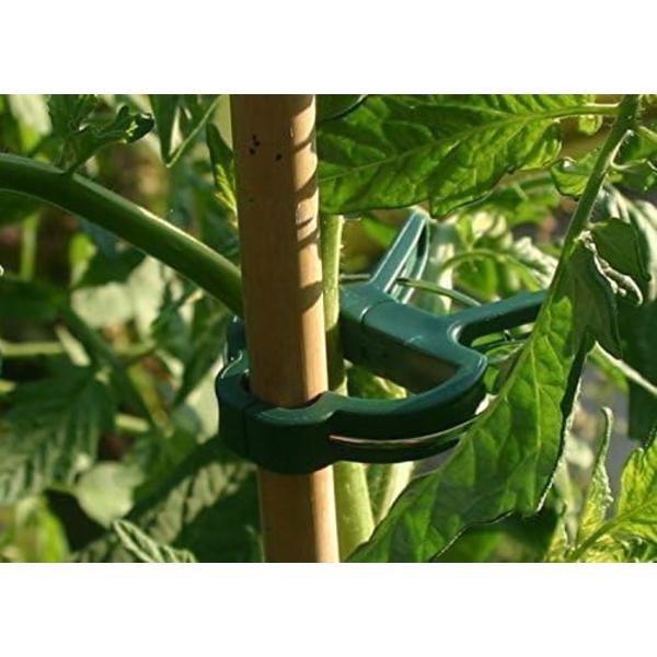 100 Stk. Klatreplanteclips, Tomatclips, Planteclips, Tomat