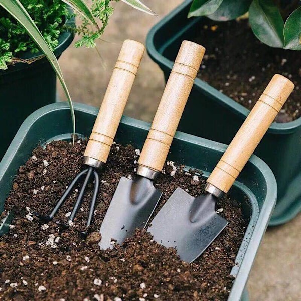 3 st Mini Set Växtkrukad Flower Gadget Trähand