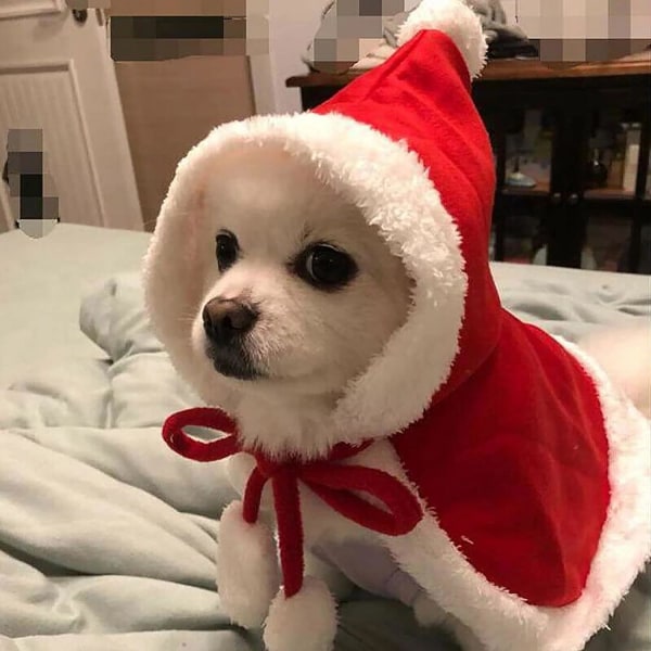 Husdjursjulkläder (S) för hund Katt Julfestdräkt C