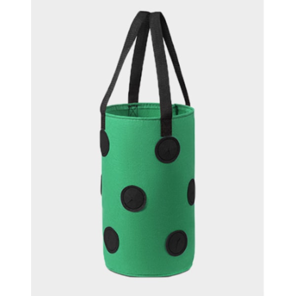 (3 gallon 20*35 cm (13 hål) grön svart fläck) 1 förpackning jordgubbe