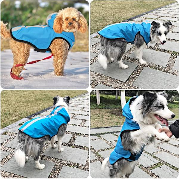 Blue-M 2 i 1 regnkappa för hund, lätt huva för hundar för husdjurskläder