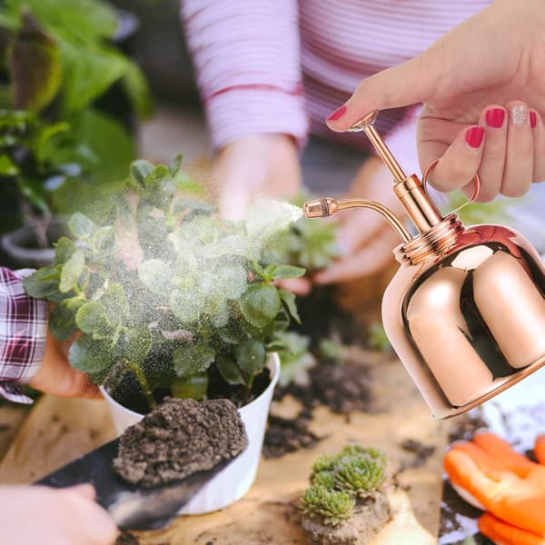 Retro messing vandkande 300ml Havearbejde Blomster Planter Kobber Va