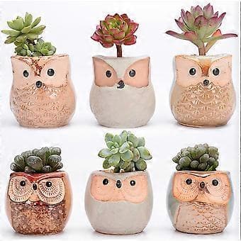 6 stk. Søte Ugle Blomsterpotter