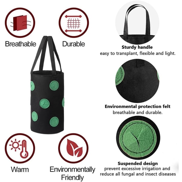 (3 gallon 20*35 cm (13 hål) grön svart fläck) 1 förpackning jordgubbe