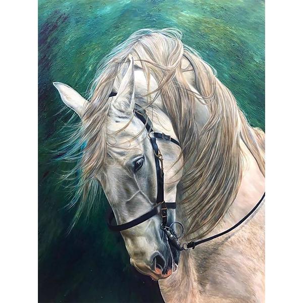 5D Diamond Painting Kit 30x40cm DIY Colorful Horse Diamond Art Ki