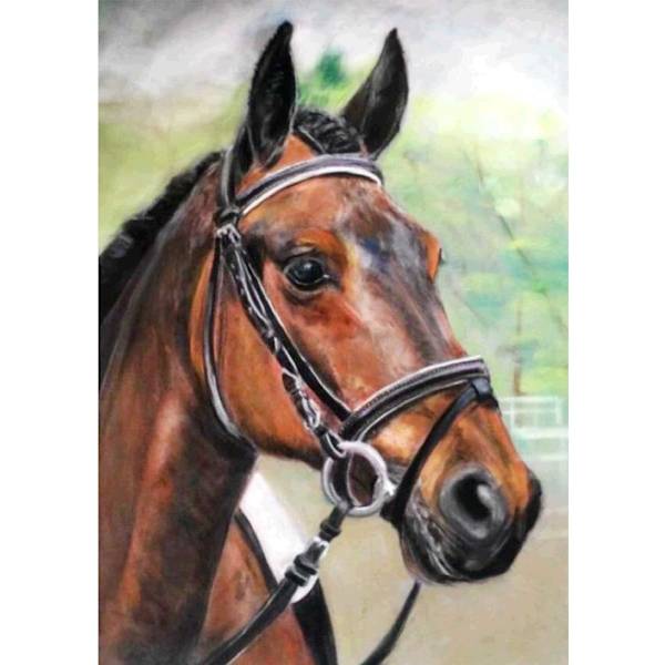 5D Diamond Painting Kit 30x40cm DIY Colorful Horse Diamond Art Ki