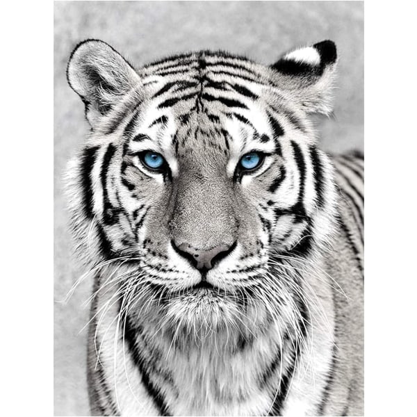5D Diamond Painting Tiger, Full Diamond Painting Kit Animals, DIY