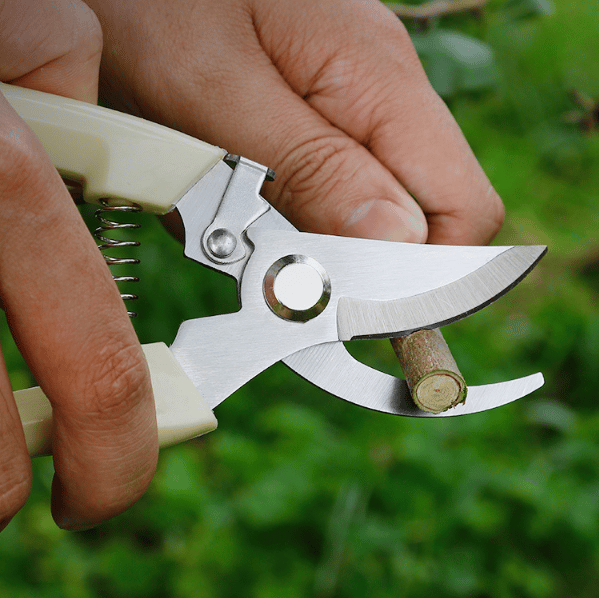 Professionel 18,5 cm kvalitets trimmer, manuel trimmer, have trimmer