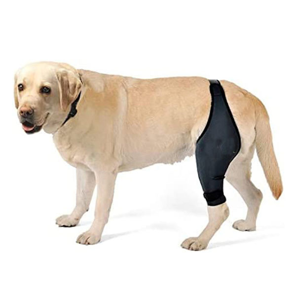 Pet Dog Ben Fracture Protector Fram och bak Auxiliary Ben Suppo