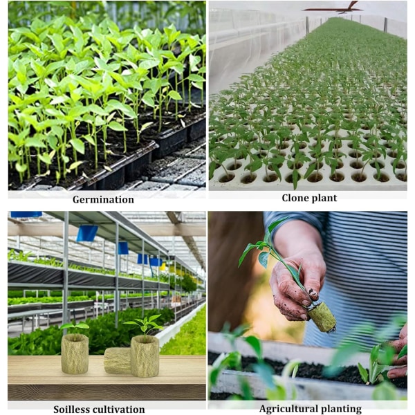 50 stycken Hydroponic Rockwool Cube Block Plugs Rockwools Växande