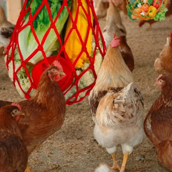 Chicken Adopter, Kycklingleksaker, Fjäderfä Frukt Kyckling Grönsak Ro