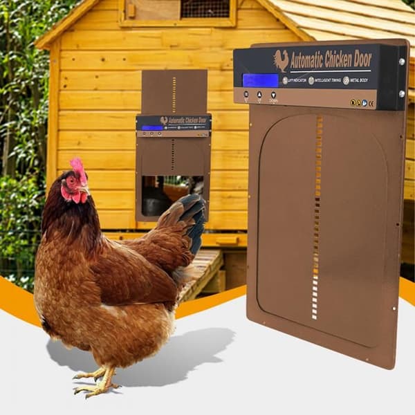 Automatisk hönshusdörr med timer - Aluminium/Stål - Solenergi - IP45 - LED-display