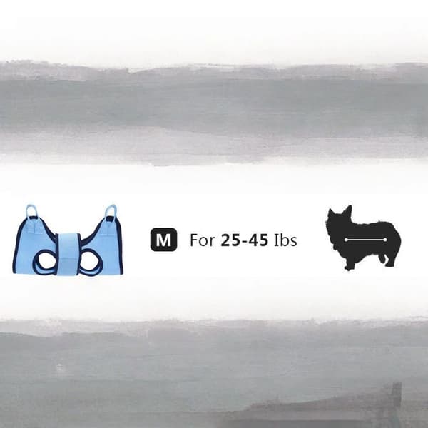 Kattvårds hängmatta, kattklippväska, en del
