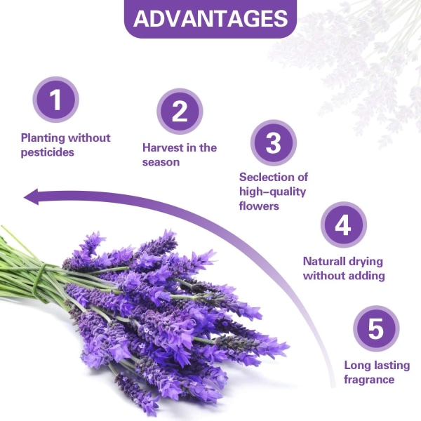 Ranskalainen kuivattu laventelilaukku Laventelin kukkalaukut Pitkäkestoiset