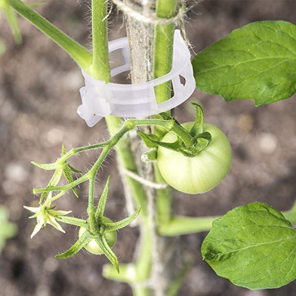 Återanvändbara växtstöd Trädgårdsklämmor för vinstockar Grönsaker Tomater Trädgårdsväxthus 50st 100pcs