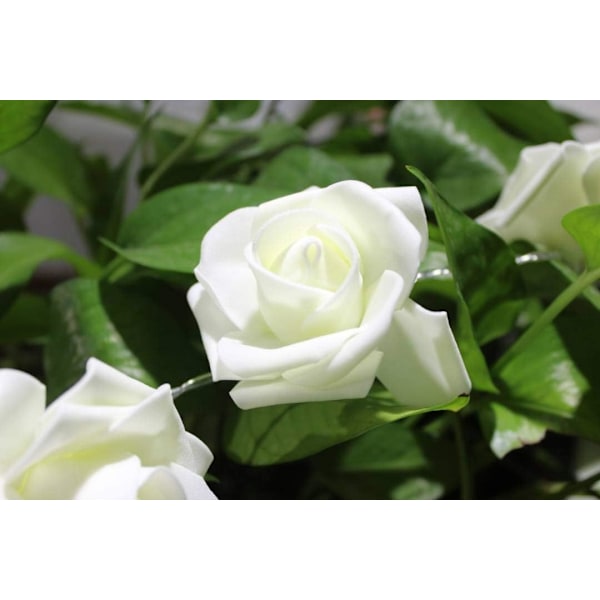 20 LED-lampun paristoilla toimiva romanttinen kukka-ruusu Premium Fair Warm White