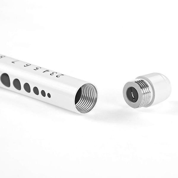 Professionell Pen Light With Pupill Gauge Led Penlight För sjuksköterskor Läkare Medicinsk Penlight Silver 2pcs