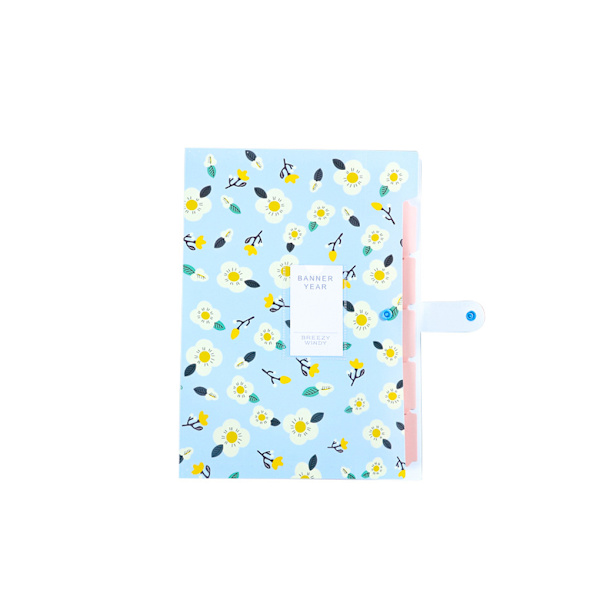 File Organizer Office Folding Document Paperficka Stor Blue