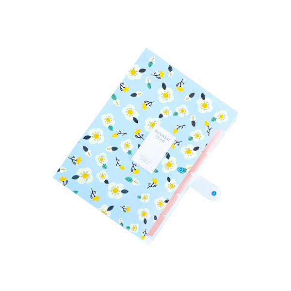 File Organizer Office Folding Document Paperficka Stor Blue
