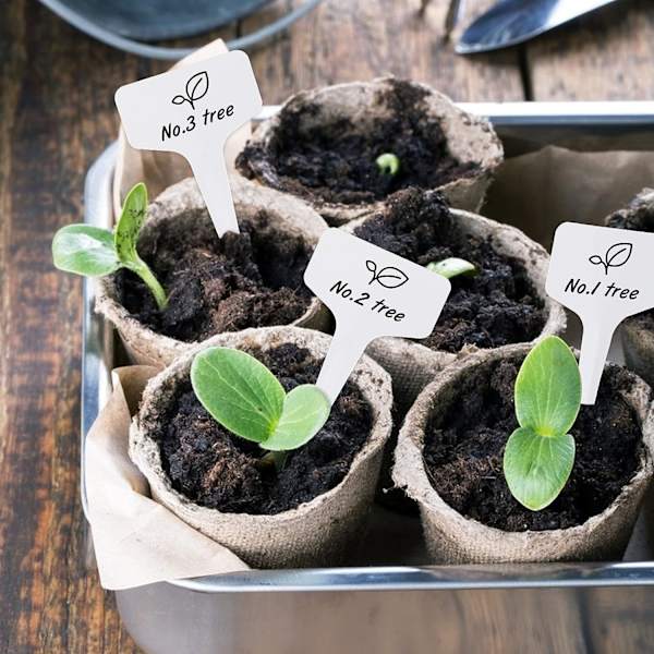 100 bitar växtetikett fröplanta etikett grönsaksträdgård plantering Vattentät utomhusplast, vit, 10x6 cm