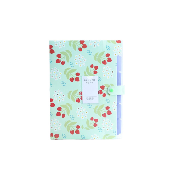File Organizer Office Folding Document Paperficka Stor Green