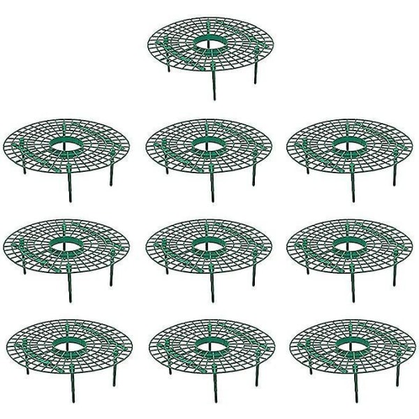 Jordgubbar Plant Stand Stöd Ram Plantering Rack