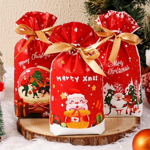 50st Xmas Godispåsar Kexpåsar 3