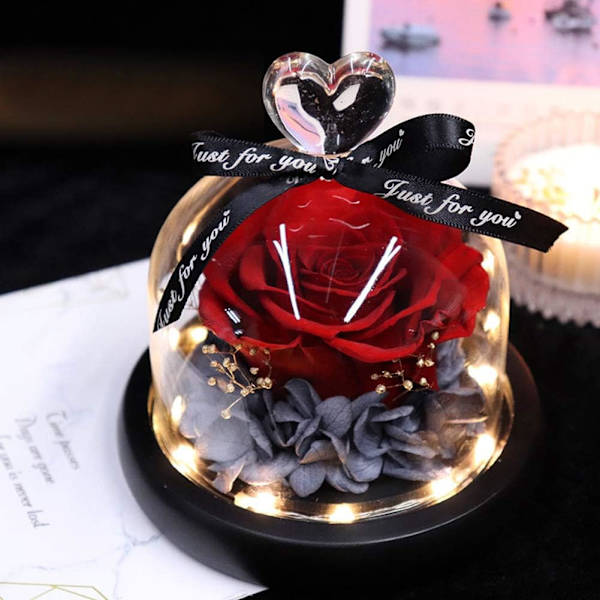Äkta konserverad ros handgjord färsk ros eternal rose glaskupol presentförpackning med LED, mycket moderiktig och vacker
