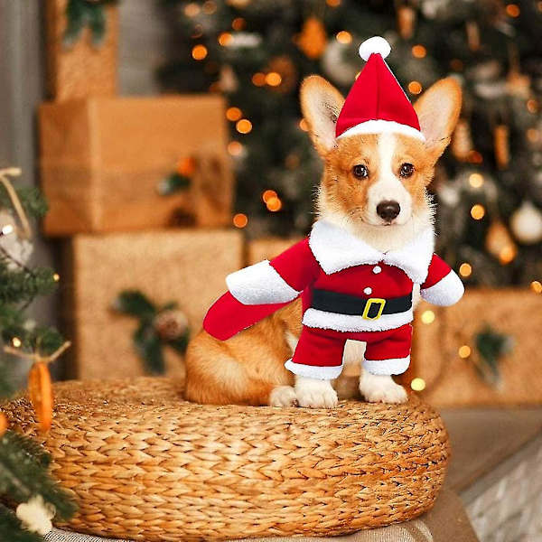 Hund og kat julemandskostume, jule kæledyrs tøj XL
