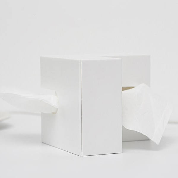 Case VIT white