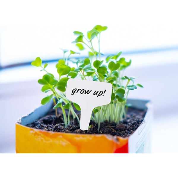 100 bitar växtetikett fröplanta etikett grönsaksträdgård plantering Vattentät utomhusplast, vit, 10x6 cm