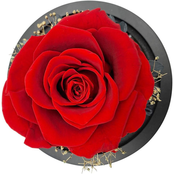 Äkta konserverad ros handgjord färsk ros eternal rose glaskupol presentförpackning med LED, mycket moderiktig och vacker