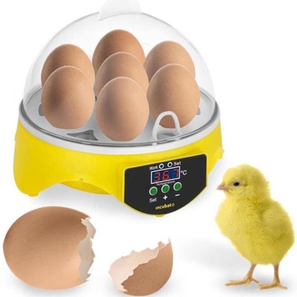 Automatisk digital inkubator kläckmaskin 7 kycklingägg
