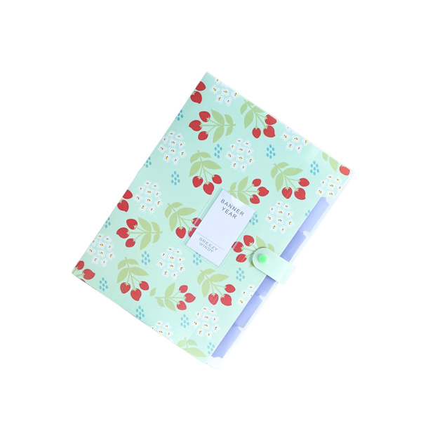 File Organizer Office Folding Document Paperficka Stor Green