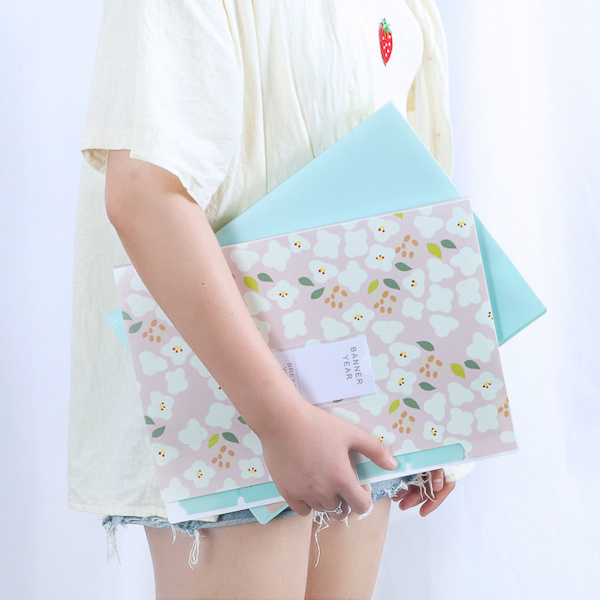 File Organizer Office Folding Document Paperficka Stor Green
