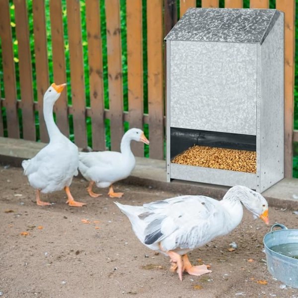 Automatisk foderautomat - YUENFONG - Feedomatic - Rostfritt stål - 50 kg - För fjäderfä Silver