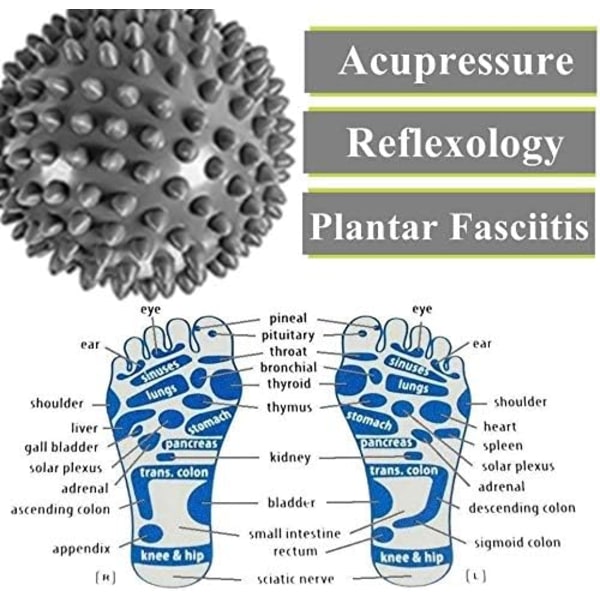 Plantar Fasciitis Fotmassasjerulle - RIGHTWELL Muskelmassasjer & Hard Spiky Ball Sett Perfekt for Armsmerter-Hæl & Fotbue Smertelindring Gray/ Green 1 ball