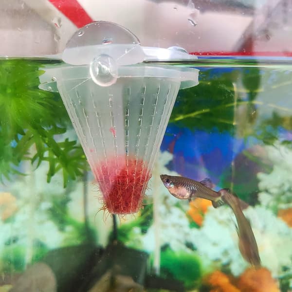 4 stk. Akvarium Levende Røde Orm Fiskefoder Plastik Kegleformet Kurv Rejer Foderkop med Sugkop