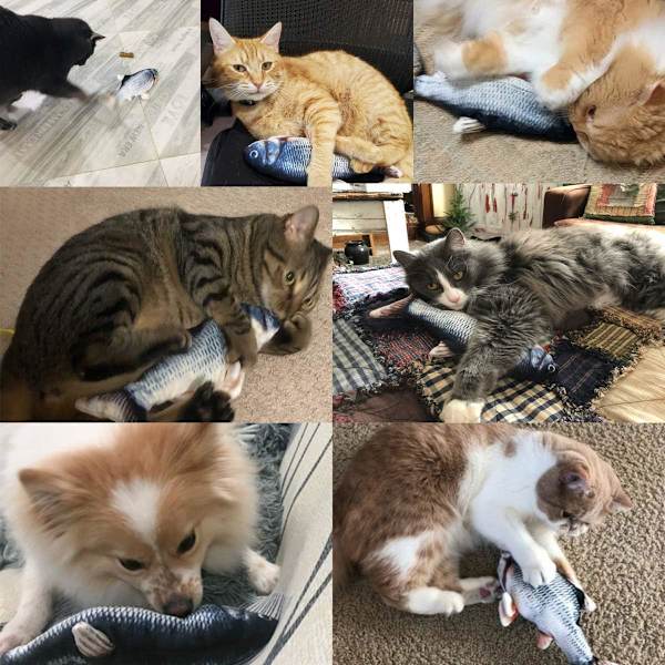 Elektrisk floppy fisk katt leksak, rörlig katt kicker fisk leksak, 11\" realistisk flopping fisk hund leksak, plysch interaktiv katt leksak för inomhuskatter, wiggle fis Carp