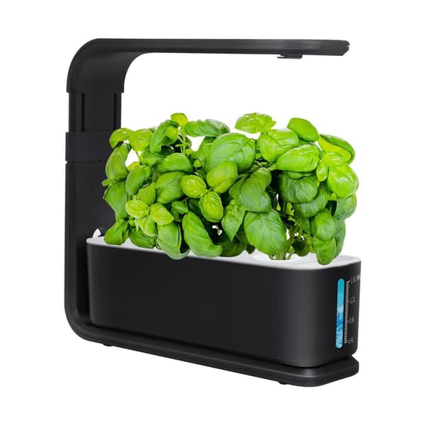 Hydroponic Growing System, Height Adjustable Herb Garden with LED, Indoor Growing System, Indoor Garden Sprouting Kit (3 Holes)