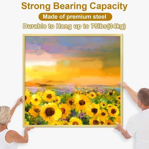 372 Pcs Picture Hooks for Frames with Hangers, Nails, Wire, Mini Level Frames Mirrors Canvas, Heavy Duty Drywall-75lbs