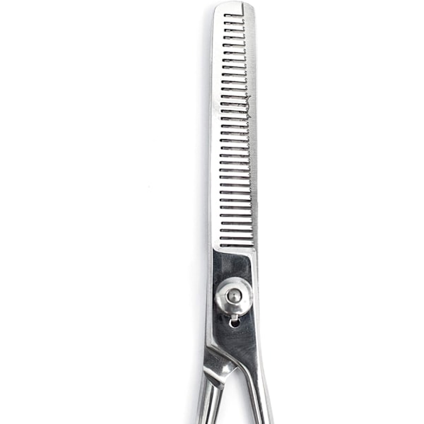 Hårtynningssaks 6,5 tommer Barber Hår Saks for Hårklipp, Teksturering & Styling - Rustfritt Stål Silver 1 Count (Pack of 1)