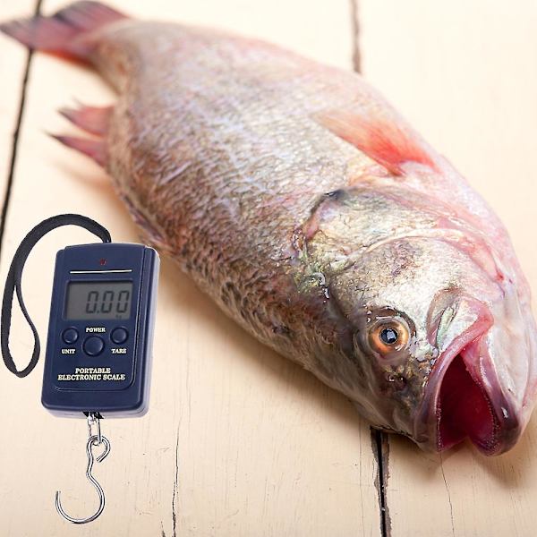 20g-40kg Digitaalinen riippuva matkalaukku kalastuspainovaa'at Keittiövaa'at Ruokailu Myös