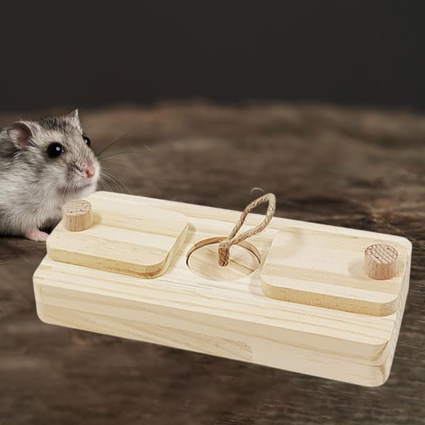 Hamster Foderlegetøj Kaninlegetøj Tygelegetøj til Kaniner Foderlegetøj Foderlegetøj til Colorful