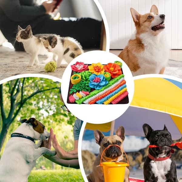 Snusemåtte til hunde, hundelegetøj til katte, langsom fodringsmåtte 50x50 cm, maskinvaskbar snusemåtte til trænere, snusemåtte til kæledyrstræning orange