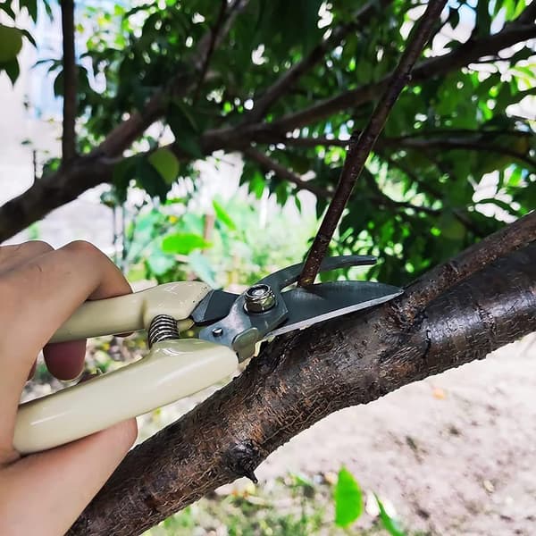Garden Pruning Shears Hand Scissors Pruning Shears for Branches, Flowers, Fruit Picking