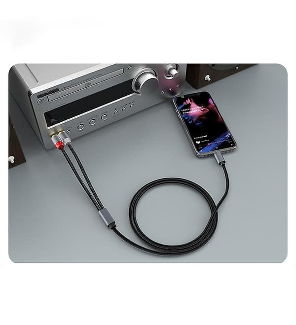 USB-C til RCA Audio Stereokabel