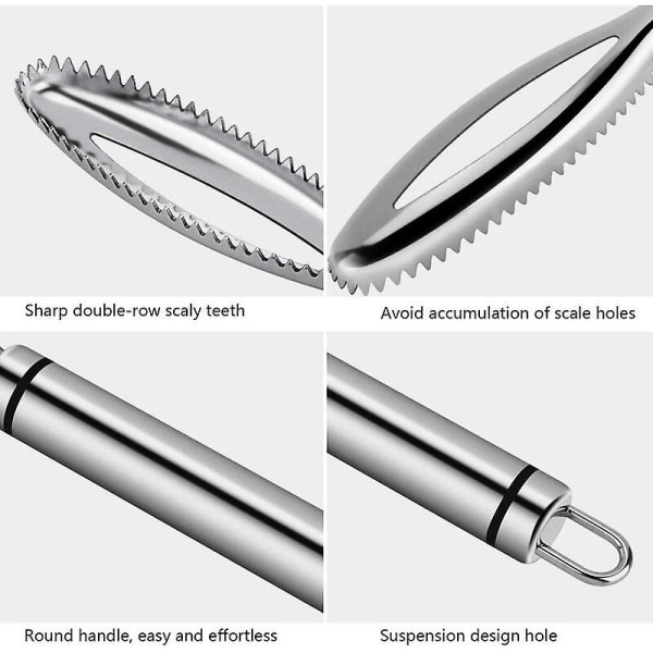 Fiskfjällsskrapa, Rostfritt Stål Fiskfjällsskrapa, Professionell Fiskfjäll