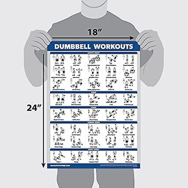 Wabjtamcourt Learning Dumbbell Workout Juliste - Laminoitu - Ilmainen Bodyweight Fitness Guide | Etusivu Fitness Chart | Kaksipuolinen - 45cm x 60cm